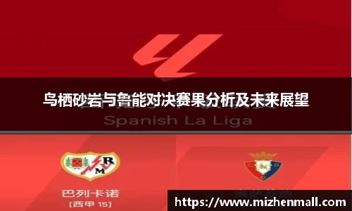 鸟栖砂岩与鲁能对决赛果分析及未来展望
